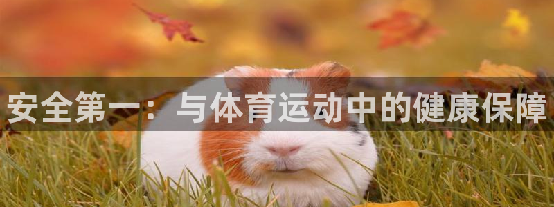 即嗨体育app下载官网：安全第一：与体育运动中的健康保障